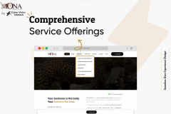 Mdesign Studio - Web Development